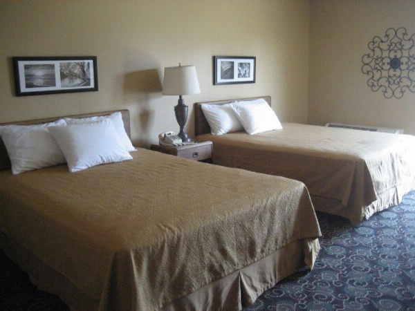 Pine View Resort image 1