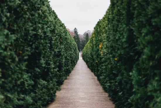 Exploring Monticello, IN: An Introduction to the City and its Weather